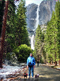 Yosemite Falls in Yosemite NP with Roscoe, Harpo and Phyllis.