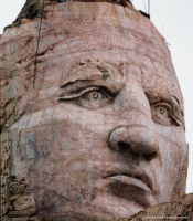 Crazy Horse Head