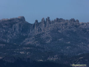 Needles from Mt Coolidge