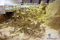 Mammoth Site and Indoor Dig
